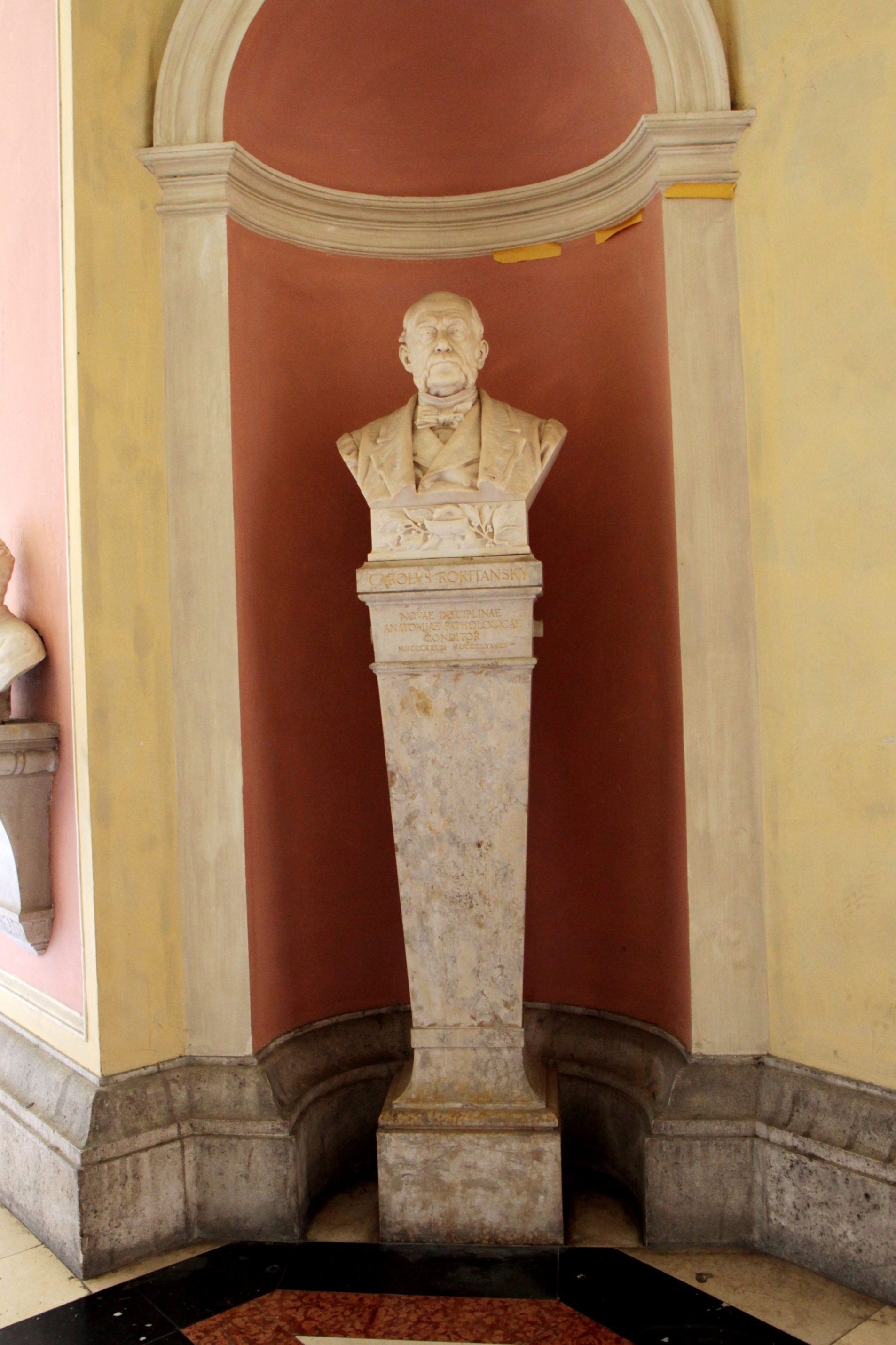 Carl von Rokitansky's marble bust, Medical monuments, UNI Vienna (1).JPG